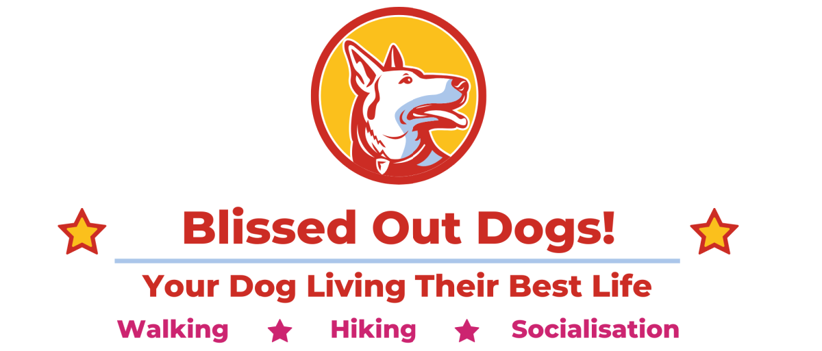 Blissed Out Dogs! - Home